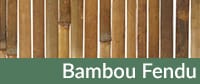 Bambou Fendu